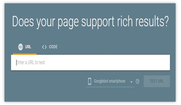 Rich snippets test result